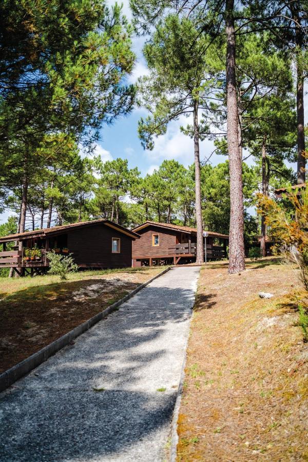 Residence Les Sentes Carcans Luaran gambar